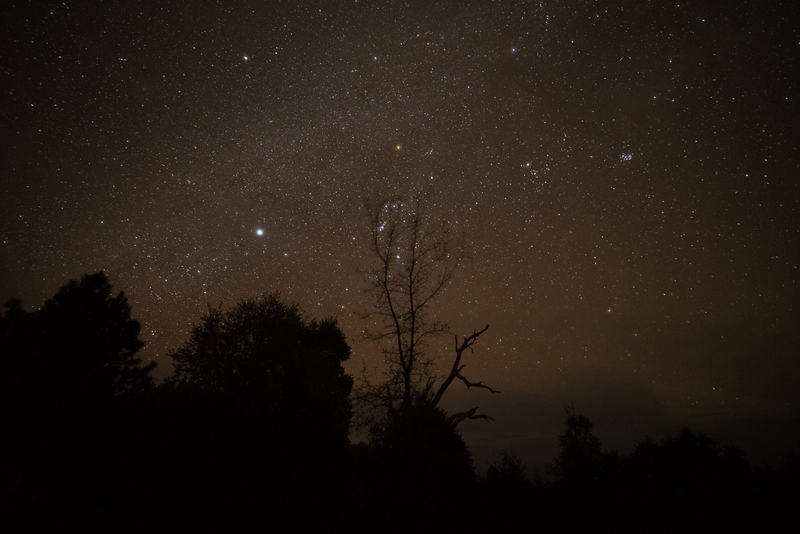 A7R iii: 25 seconds, f/2.8, ISO 6400, unedited image. No “star-eater” effect visible.